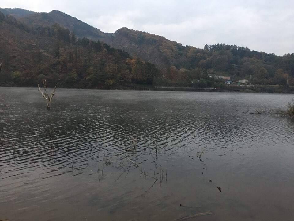 마지막이 될뻔한 (조황조행기 - 화보조행기)