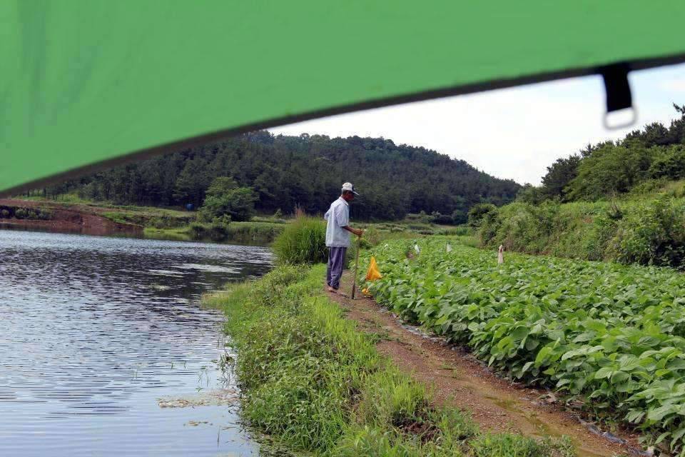 장꾼의 난전 (조황조행기 - 화보조행기)
