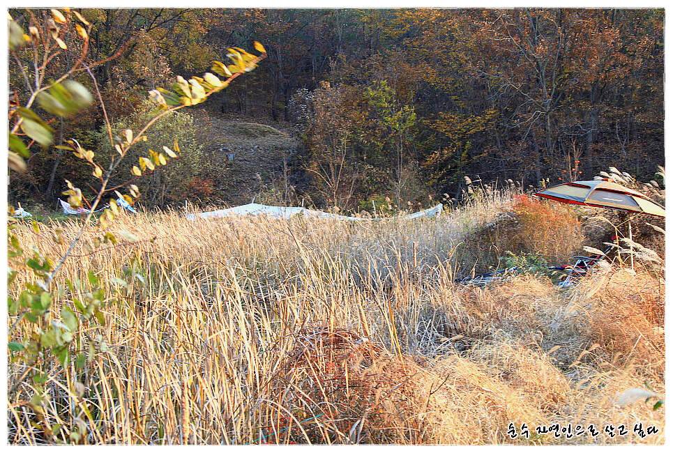꾼이야 낚시여정 175편 둥벙수준의 부들밭에서 (조황조행기 - 화보조행기)