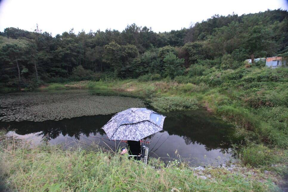 꾼이야 낚시여정 216편 작은소류지 탐사낚시 (조황조행기 - 화보조행기)