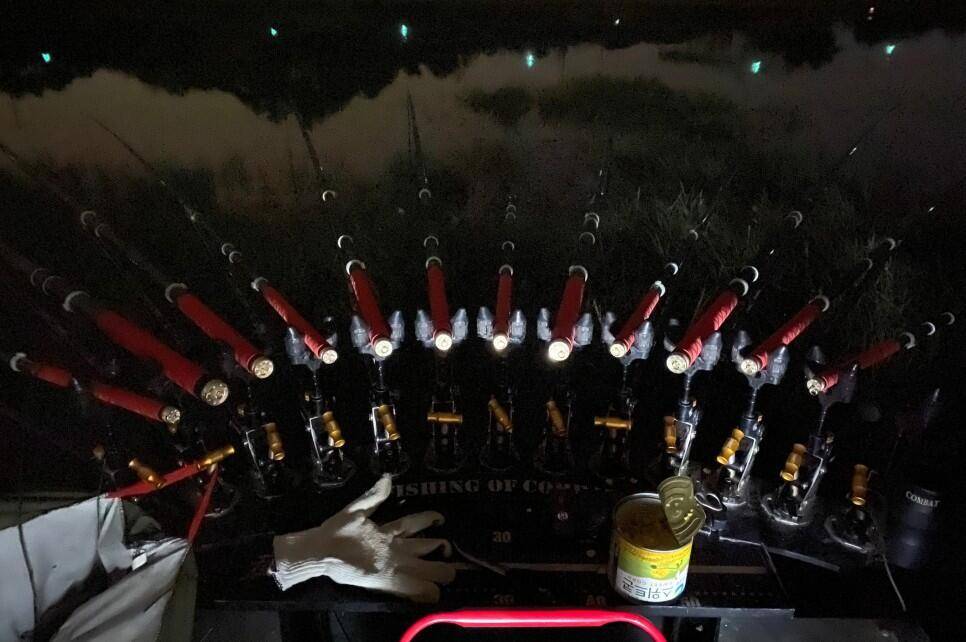 최고저수지 말풀 사이로 찌를 세웠더니 대물붕어가 막 나오네요 (조황조행기 - 화보조행기)