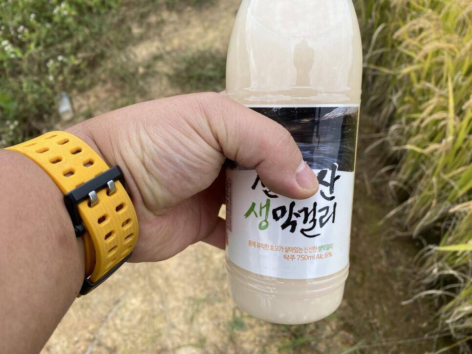 최고저수지 말풀 사이로 찌를 세웠더니 대물붕어가 막 나오네요 (조황조행기 - 화보조행기)