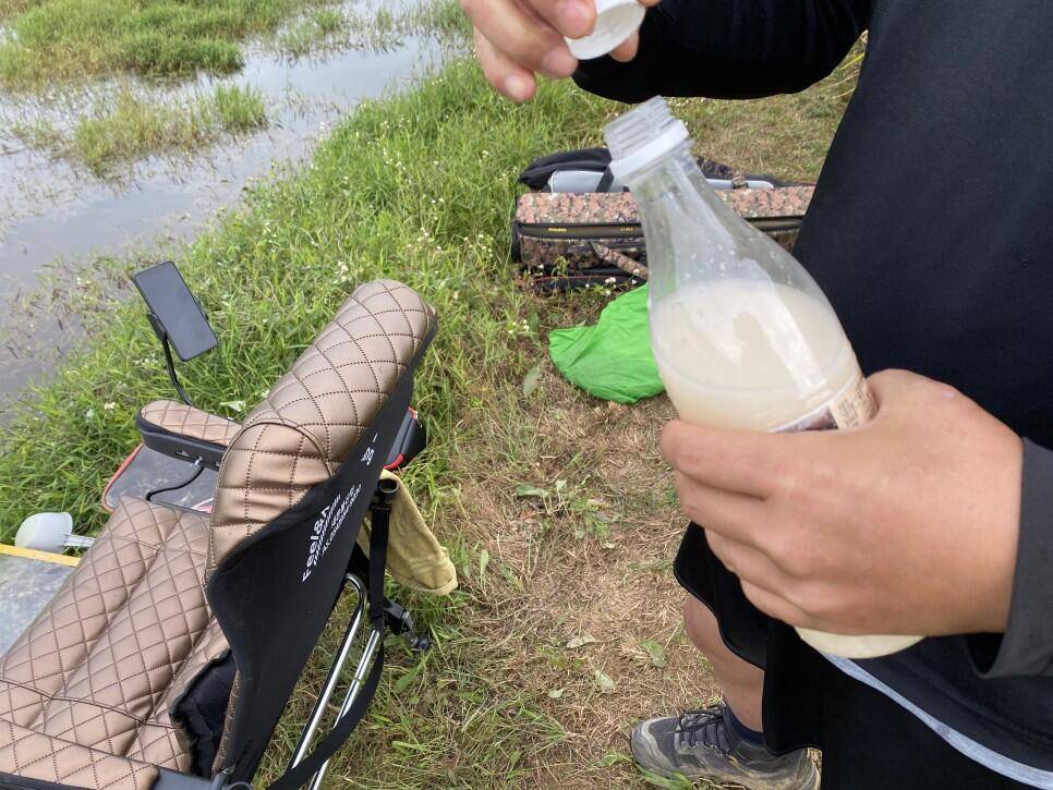 최고저수지 말풀 사이로 찌를 세웠더니 대물붕어가 막 나오네요 (조황조행기 - 화보조행기)