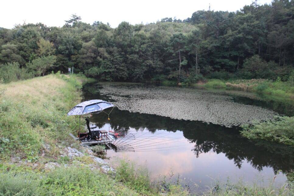 꾼이야 낚시여정 216편 작은소류지 탐사낚시 (조황조행기 - 화보조행기)