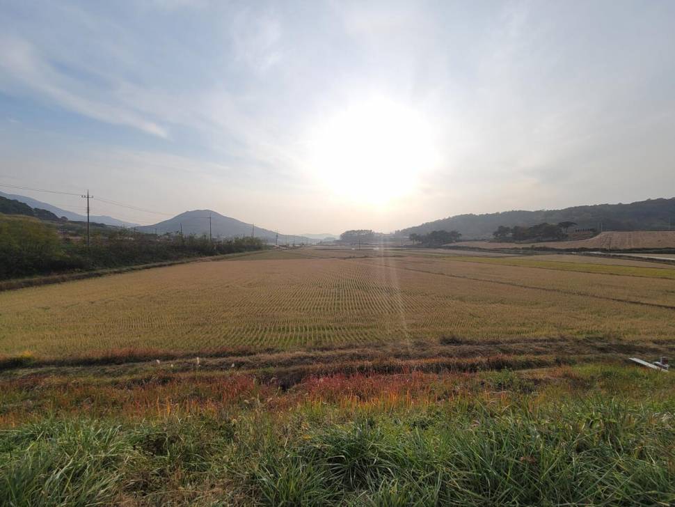 답사낚시 대성공개기월식이 보내준 붕어 (조황조행기 - 화보조행기)