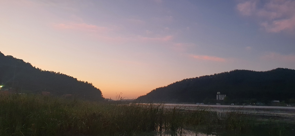 아직은 이른 듯한 수룡지 (조황조행기 - 화보조행기)