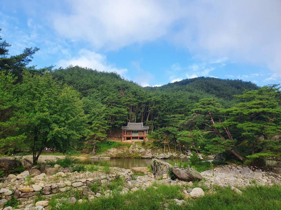 끝여름밤의 꿈을 찿아서 (조황조행기 - 화보조행기)