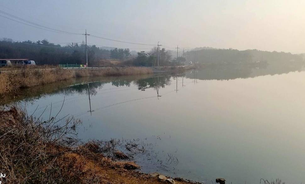 어신魚神 조우회의 3월달 정기 출조 잉어의 보은 (조황조행기 - 화보조행기)
