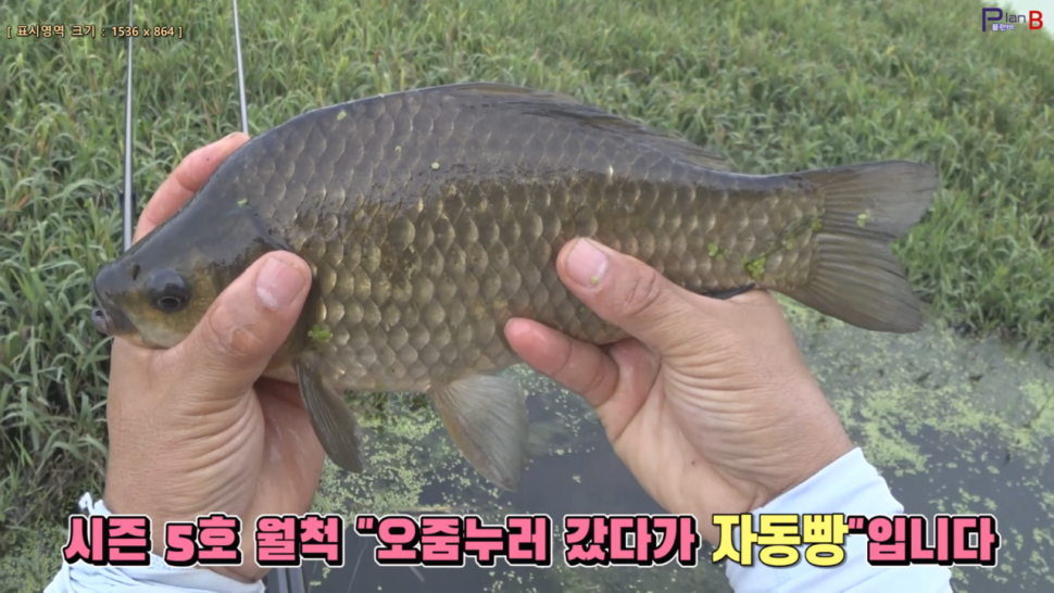오름수위 속 호조황 흑붕어 월척을 잡다 (조황조행기 - 화보조행기)