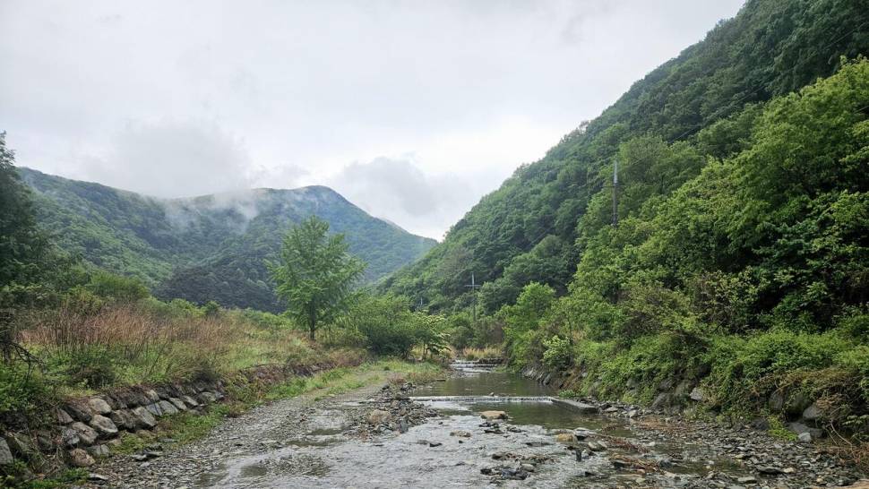 오라지 다시는 오나봐라 (조황조행기 - 화보조행기)