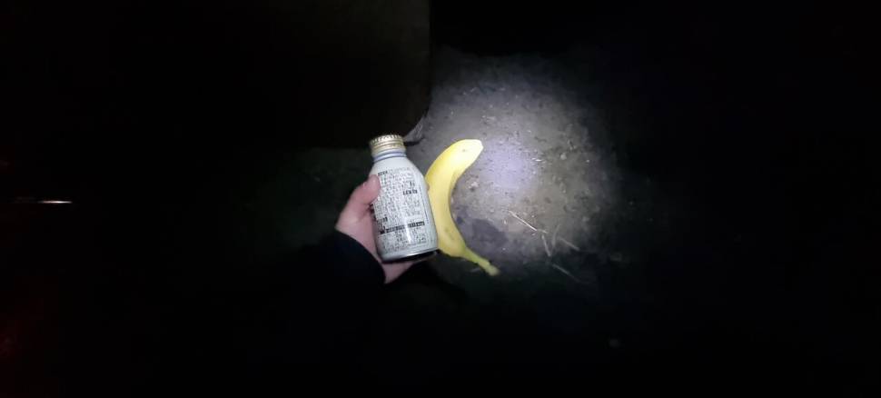 돌고 돌아 (조황조행기 - 화보조행기)