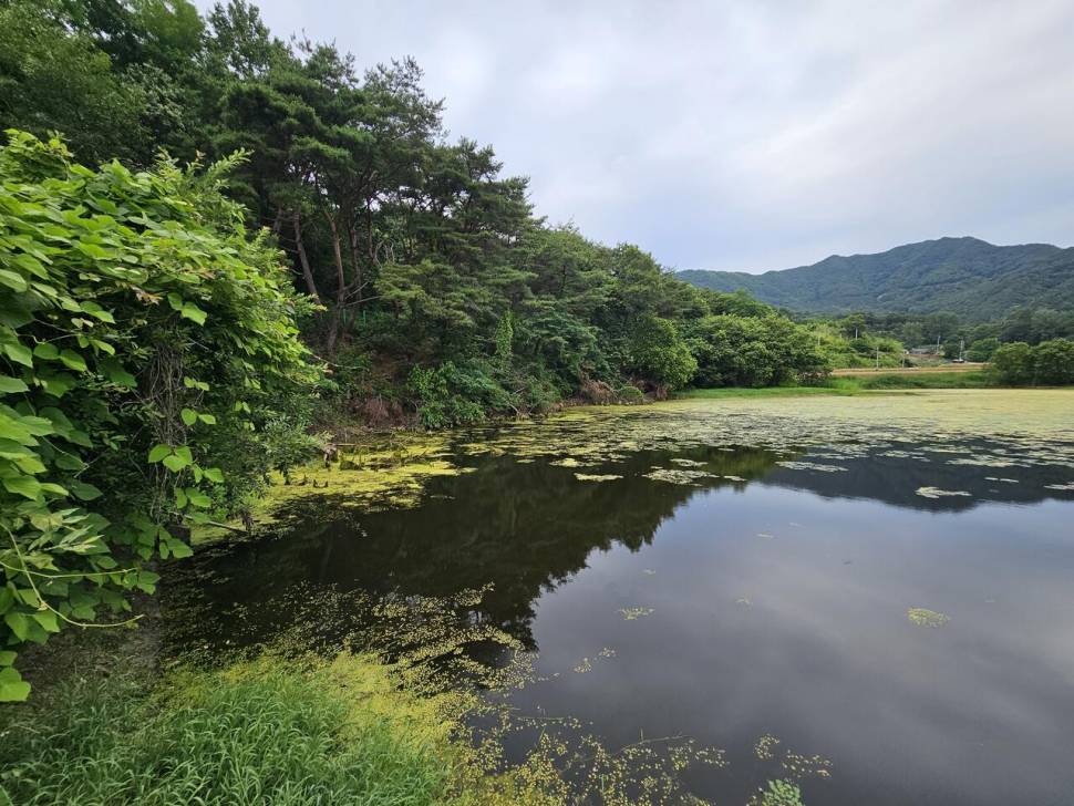 산속소류지에서 (조황조행기 - 화보조행기)