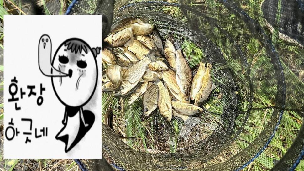 2025년 어신魚神 조우회의 5월 정기 출조 (조황조행기 - 화보조행기)