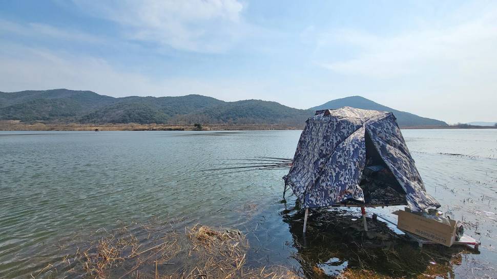 대물터가 토종터로 부사호 월척 및 마릿수 붕어 (조황조행기 - 화보조행기)