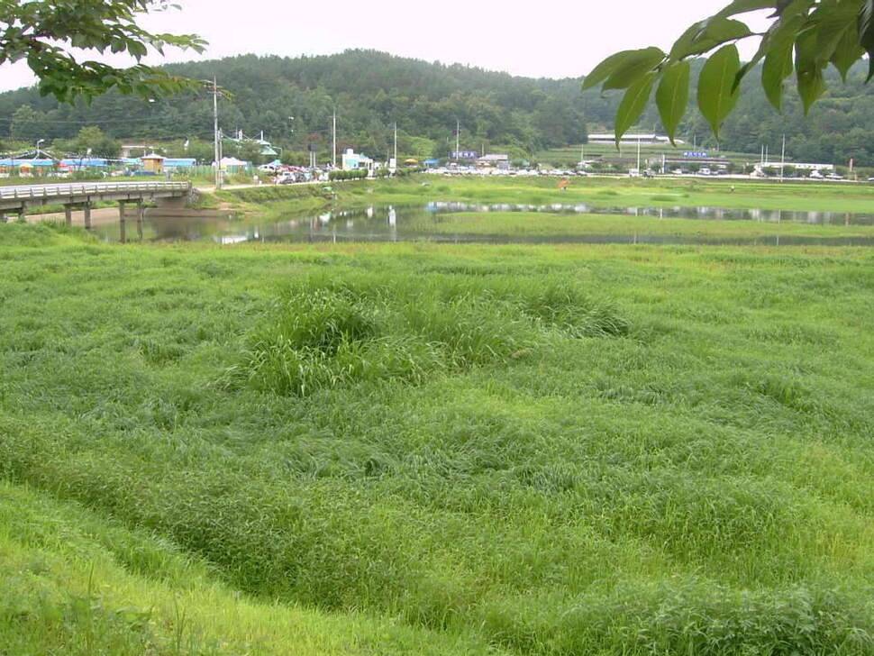 비온후를 노려라 조치원 고복지 (조황조행기 - 화보조행기)