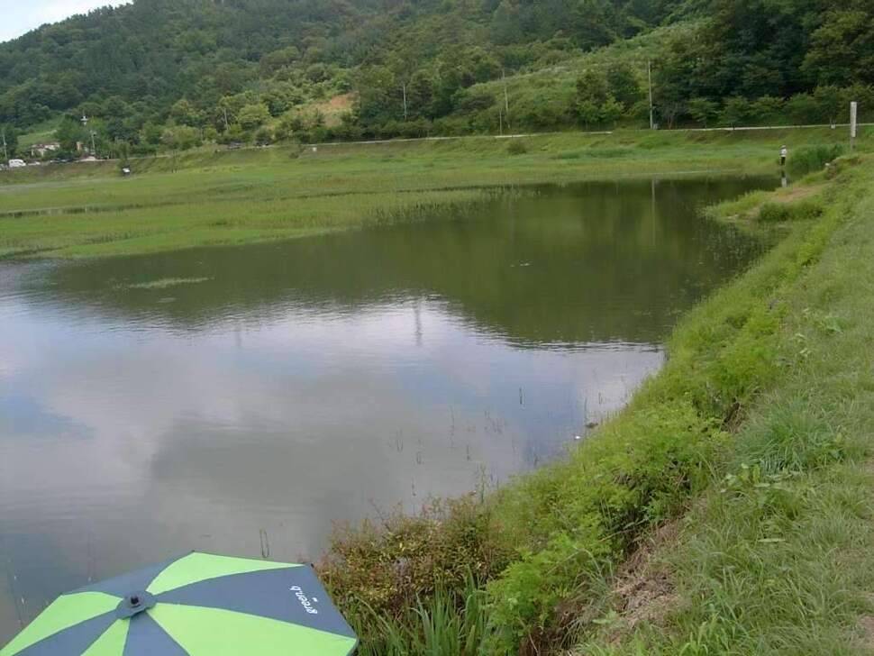 비온후를 노려라 조치원 고복지 (조황조행기 - 화보조행기)
