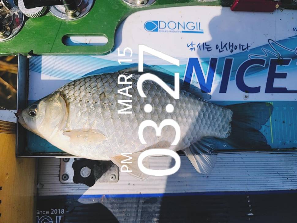 영암에 찾아온 봄 (조황조행기 - 화보조행기)