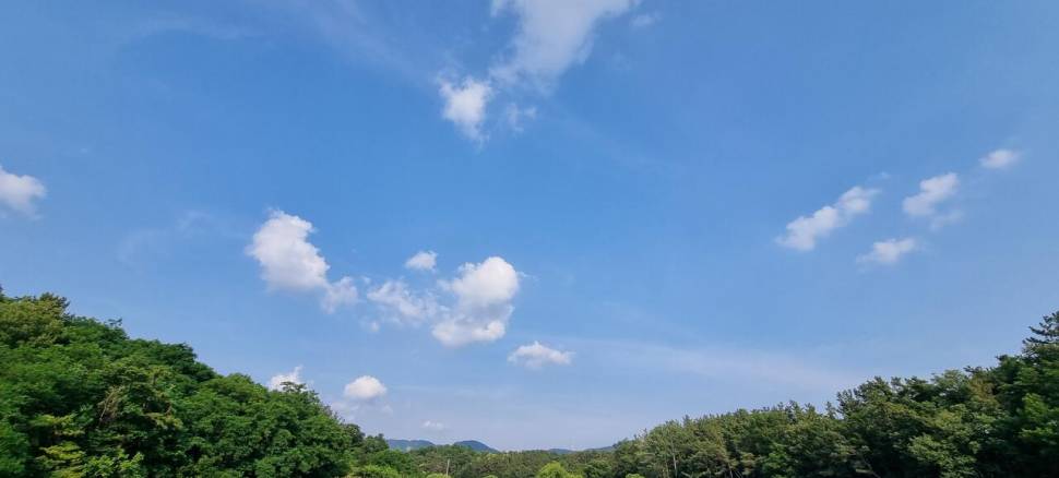황금빛 붕어는 여기에 (조황조행기 - 화보조행기)