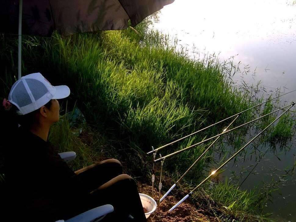 여름밤의 추억 (조황조행기 - 화보조행기)
