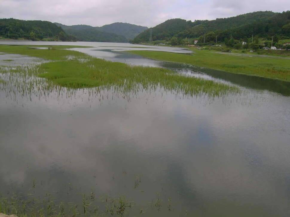 비온후를 노려라 조치원 고복지 (조황조행기 - 화보조행기)