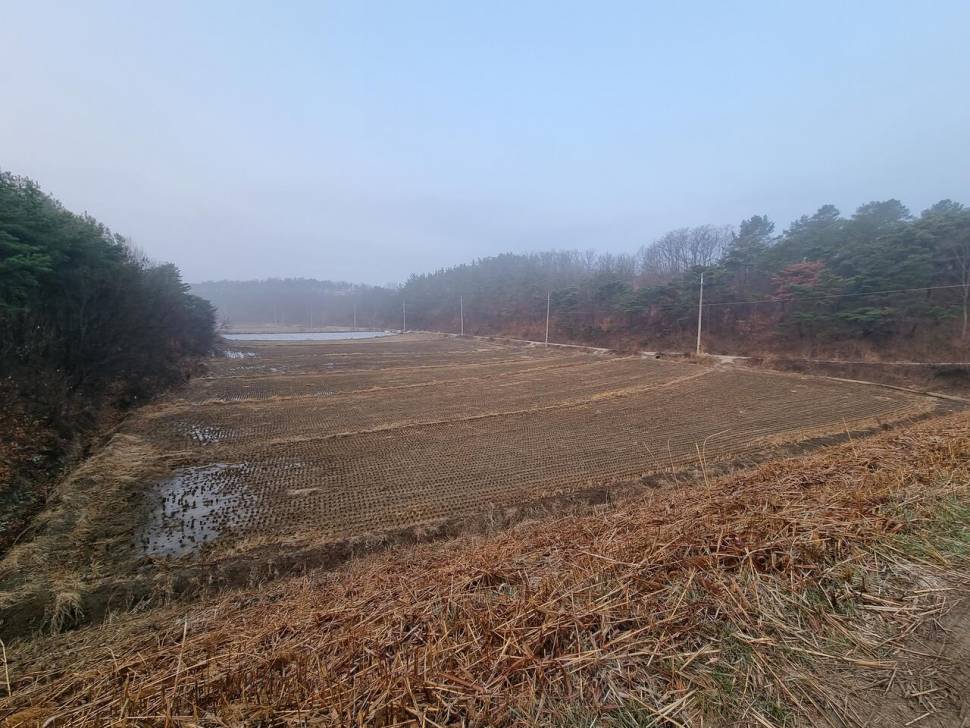 님을 만나러 가는 시간 (조황조행기 - 화보조행기)