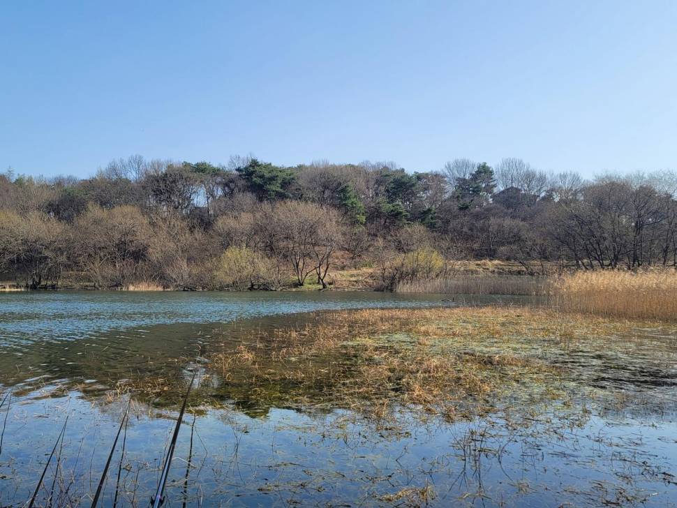 바람이 불어오는 곳 (조황조행기 - 화보조행기)