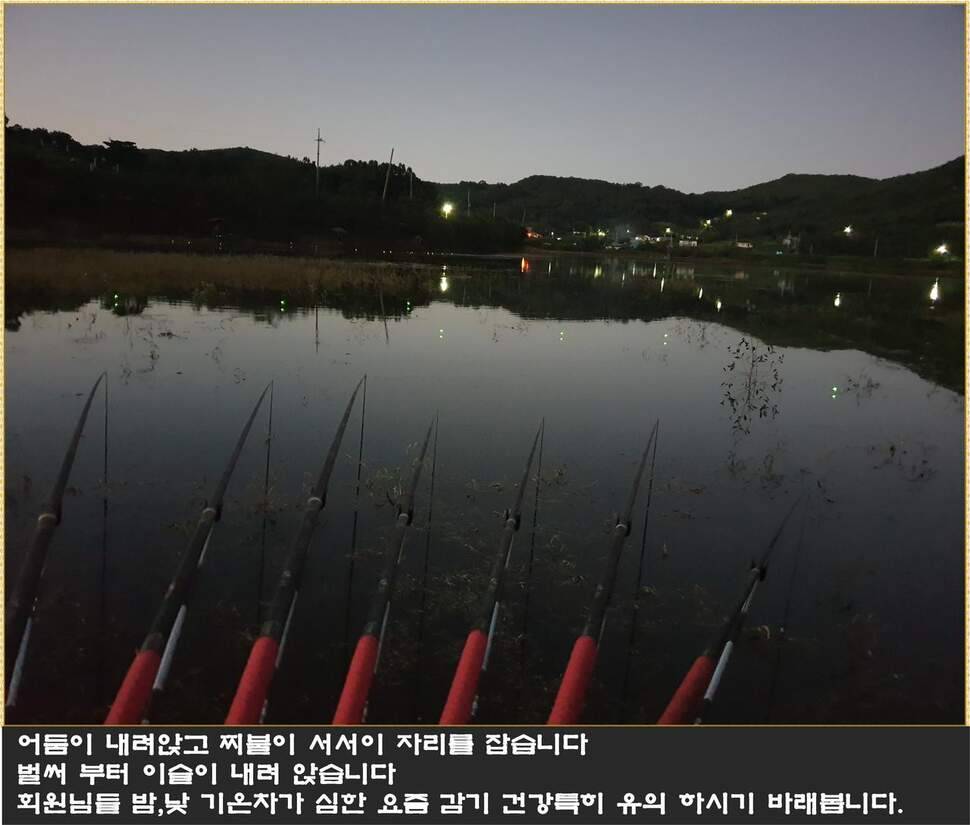 붕어에 낚이다 (조황조행기 - 화보조행기)