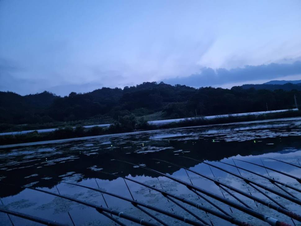 터센 오짜터 출조 (조황조행기 - 화보조행기)