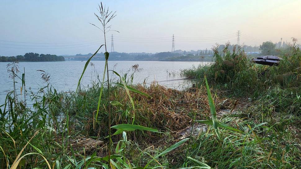 무한천 군덕리권 (조황조행기 - 화보조행기)
