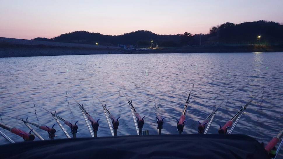 쌍둥이붕어 ㅎ (조황조행기 - 화보조행기)