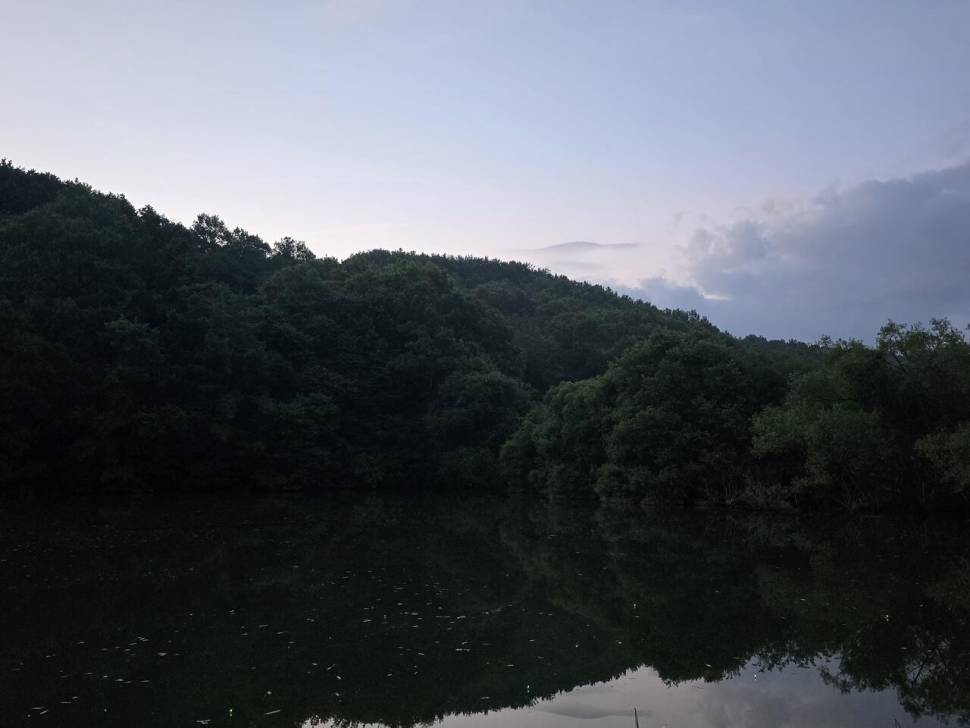 요즘 같은 폭염 속에서 이렇게만 낚시하면 얼마나 좋을까요 (조황조행기 - 화보조행기)