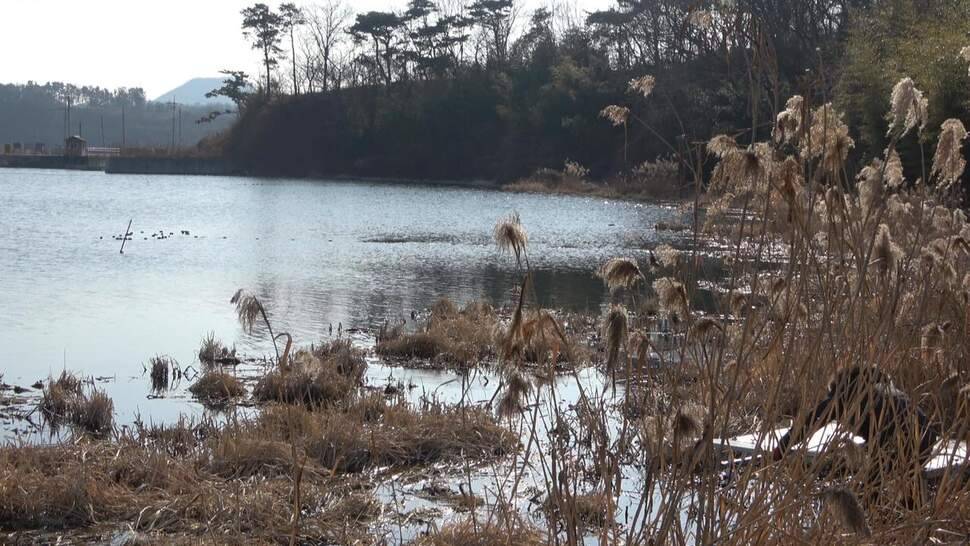 추운날씨 무모한 낚시여행보령 진죽지 (조황조행기 - 화보조행기)