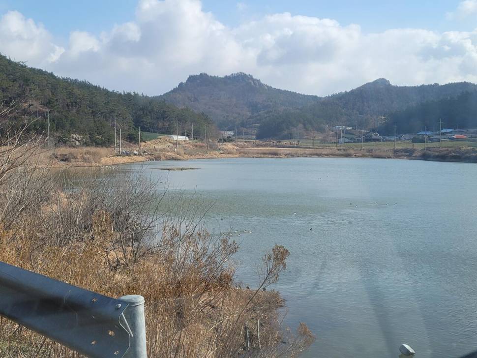 해남 5주차 리포트 (조황조행기 - 화보조행기)