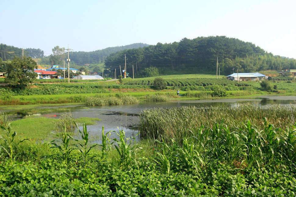 조포의 낚시 여행 원북 창촌지 (조황조행기 - 화보조행기)