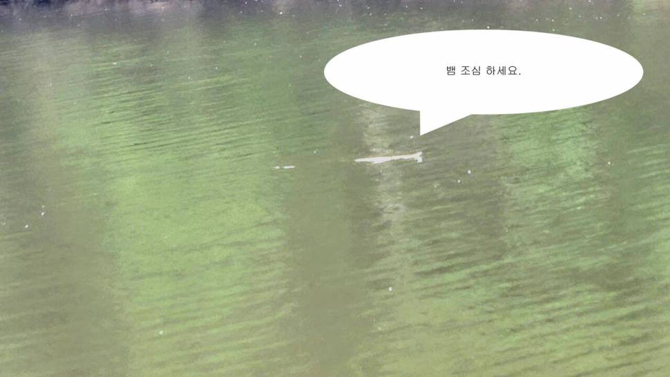 2025년 어신魚神 조우회의 5월 정기 출조 (조황조행기 - 화보조행기)