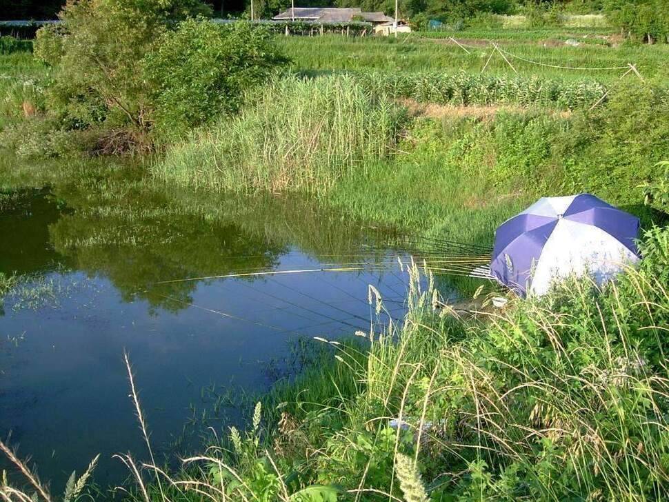 여름밤의 추억 (조황조행기 - 화보조행기)