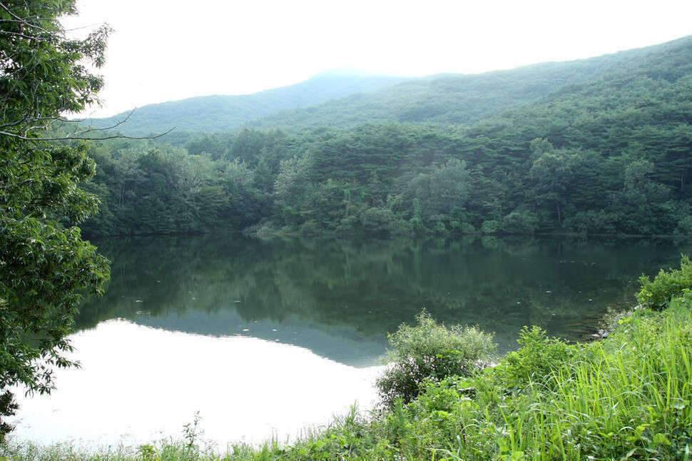 조포의 낚시여행 서산 그리고 광천 무명지 (조황조행기 - 화보조행기)