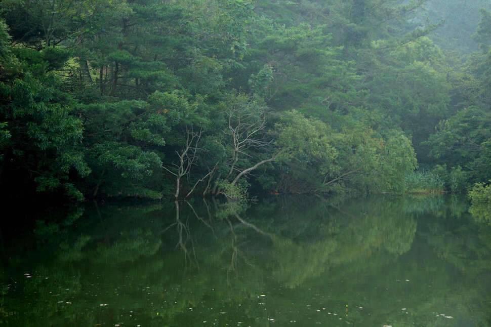 조포의 낚시여행 서산둠벙과 창촌지 (조황조행기 - 화보조행기)
