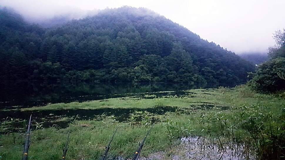 시원한 계곡지 (조황조행기 - 화보조행기)