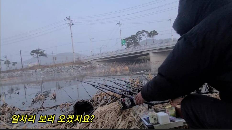부들갈대 낮은수심 낚시 (조황조행기 - 화보조행기)