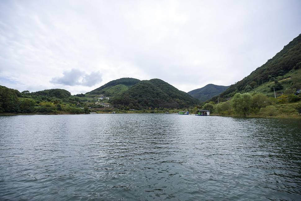 충주 김기호낚시터 붕어낚시 도전 (조황조행기 - 화보조행기)