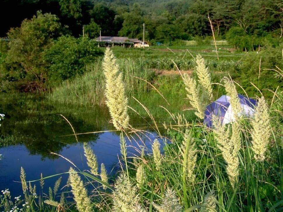 여름밤의 추억 (조황조행기 - 화보조행기)