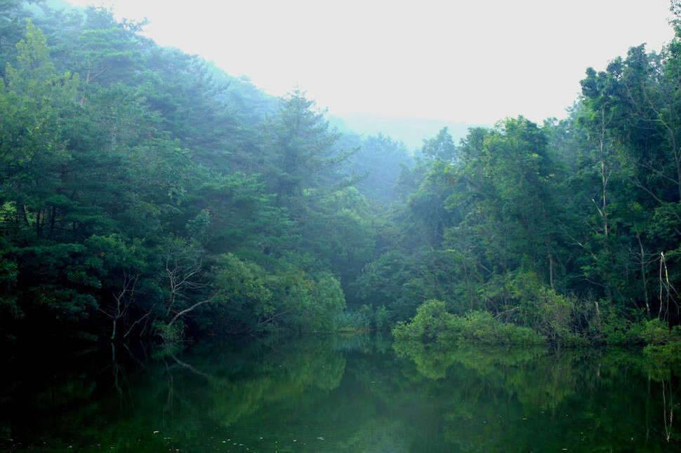 조포의 낚시여행 서산둠벙과 창촌지 (조황조행기 - 화보조행기)