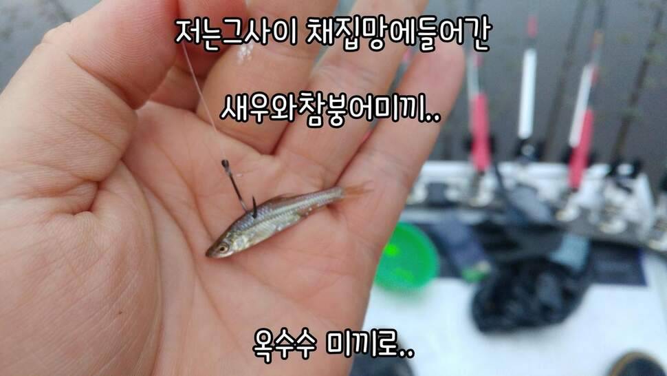 지존조행기아빠와 아들 그리고 피조사 (조황조행기 - 화보조행기)