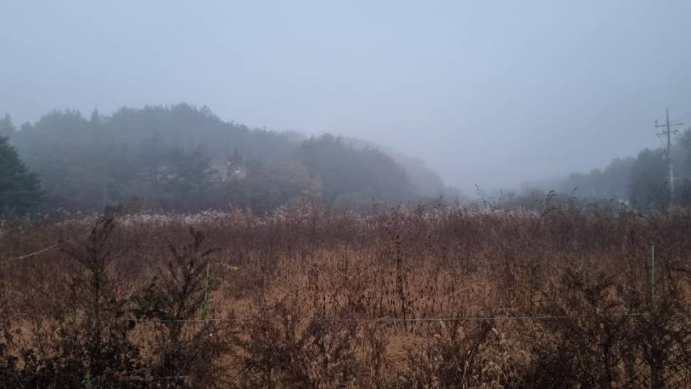 붕어를 만나고 싶다 (조황조행기 - 화보조행기)