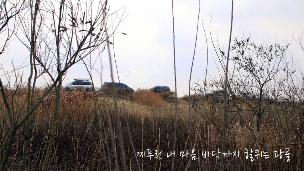 붕어낚시 시즌 시작 Carp fishing season begins (조황조행기 - 화보조행기)