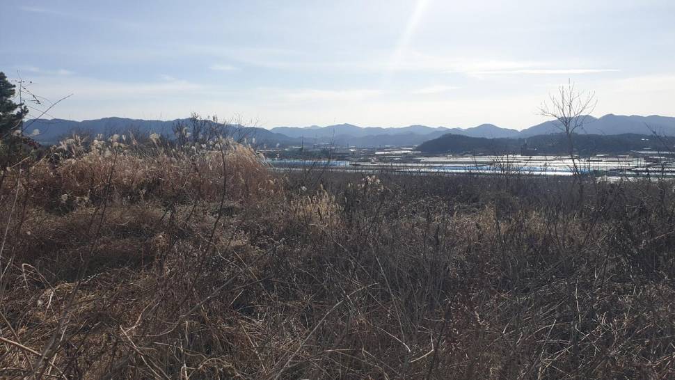 손발이꽁꽁 ㅠㅠ (조황조행기 - 화보조행기)