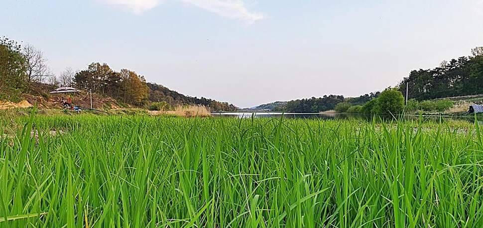 경북권 (조황조행기 - 화보조행기)