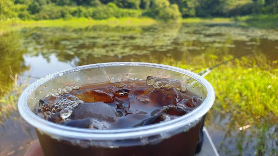 산속놀이터 (조황조행기 - 화보조행기)
