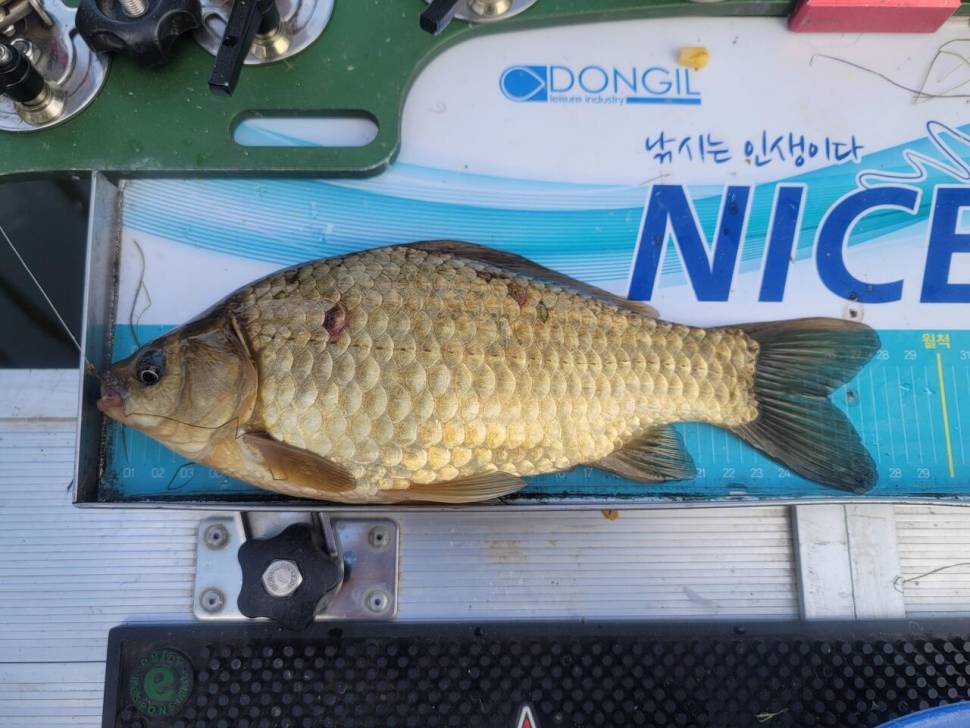 3번의 도전 끝에 만난 대박 행운 (조황조행기 - 화보조행기)
